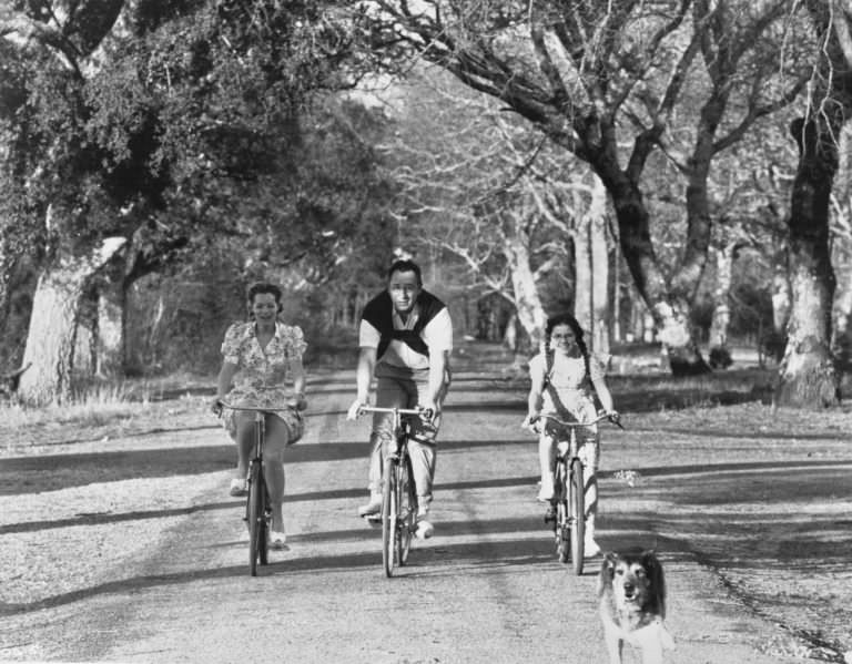 #13 Romy Schneider, Philippe Noiret and Catherine Delaporte riding bikes.