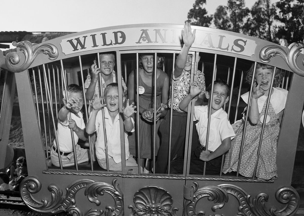 #15 A pack of “wild animals,” caged for safekeeping at Disneyland in July 1955