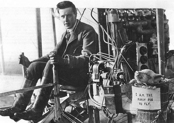 #37 Photograph of first pig to fly, 1909.