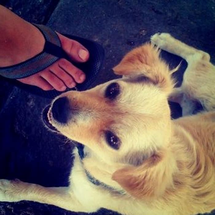 #49 First Photo on Instagram, 2010