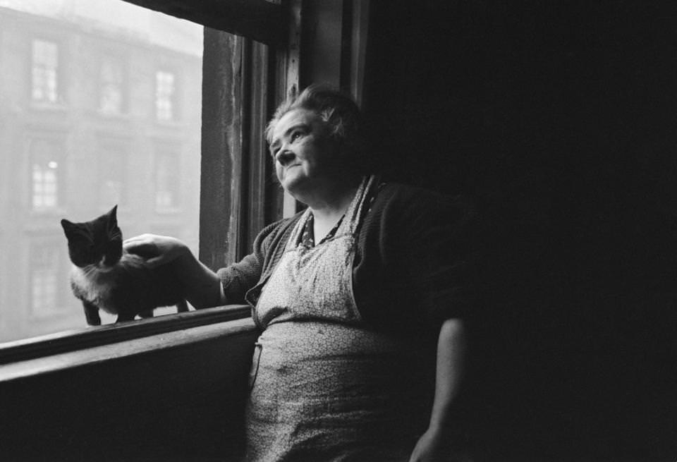 #33 A Glaswegian woman peers out of the window as she pets her cat