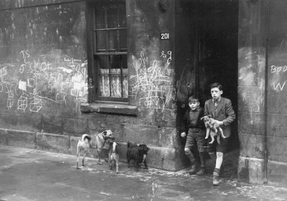 #38 Two young boys walk their dogs around the streets of the Gorbals