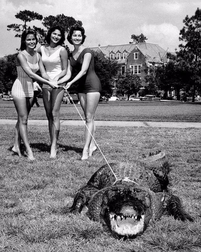 People Casually hanging Out With Alligators In The Past Weird