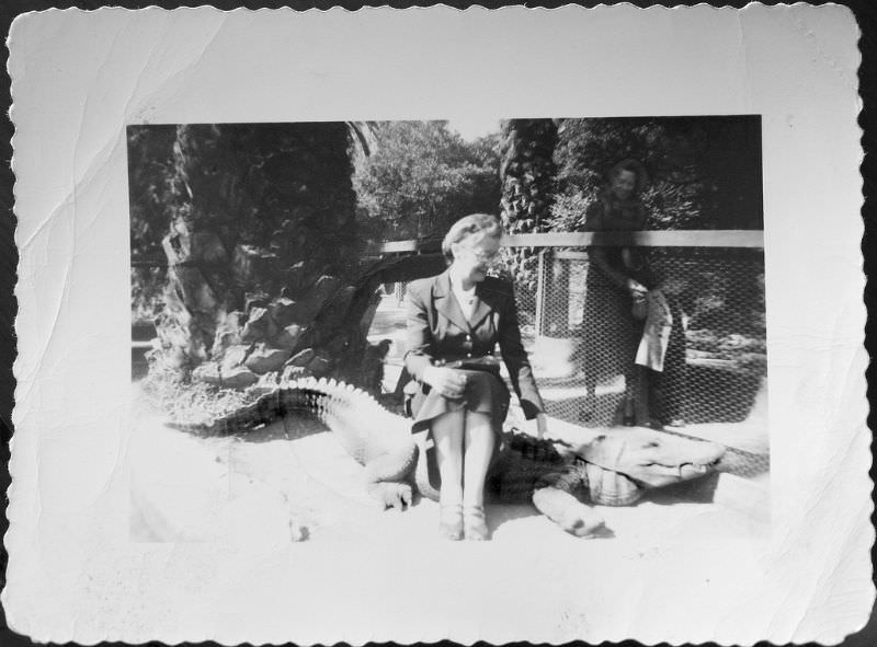People Casually hanging Out With Alligators In The Past Weird