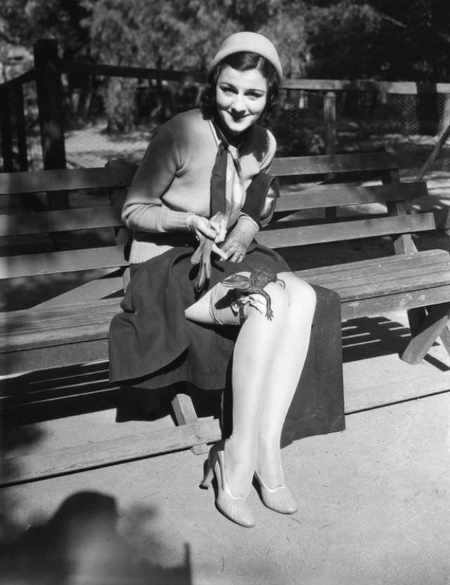 People Casually hanging Out With Alligators In The Past Weird