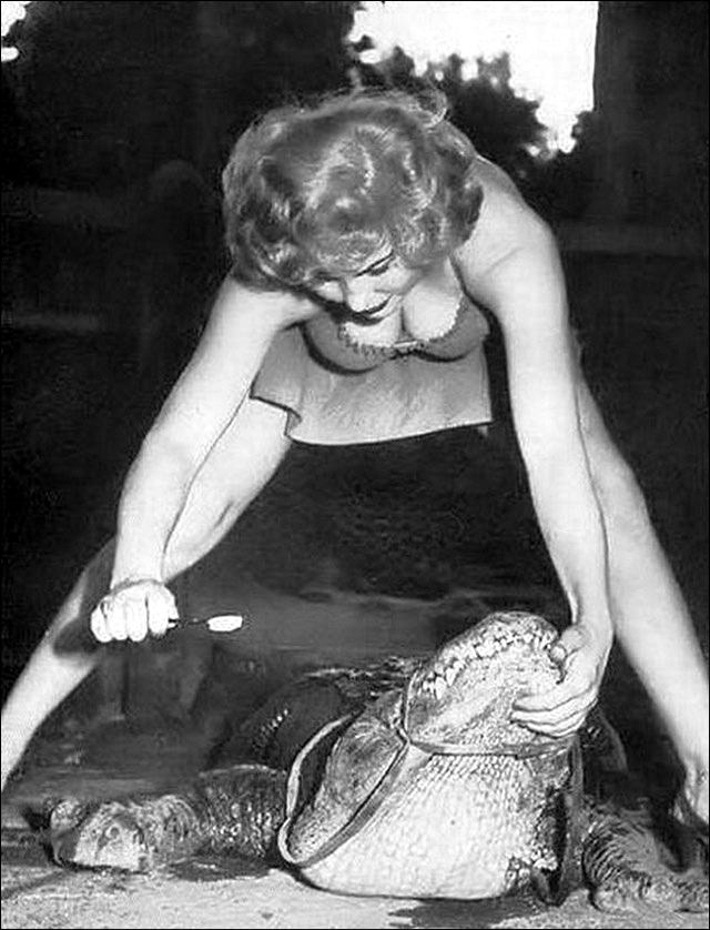 People Casually hanging Out With Alligators In The Past Weird