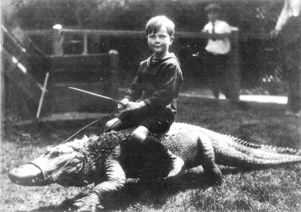 People Casually hanging Out With Alligators In The Past Weird