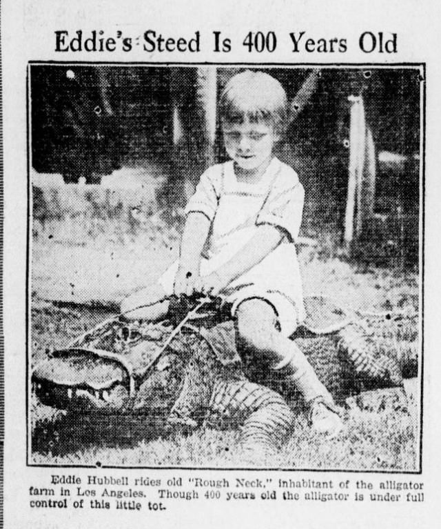 People Casually hanging Out With Alligators In The Past Weird