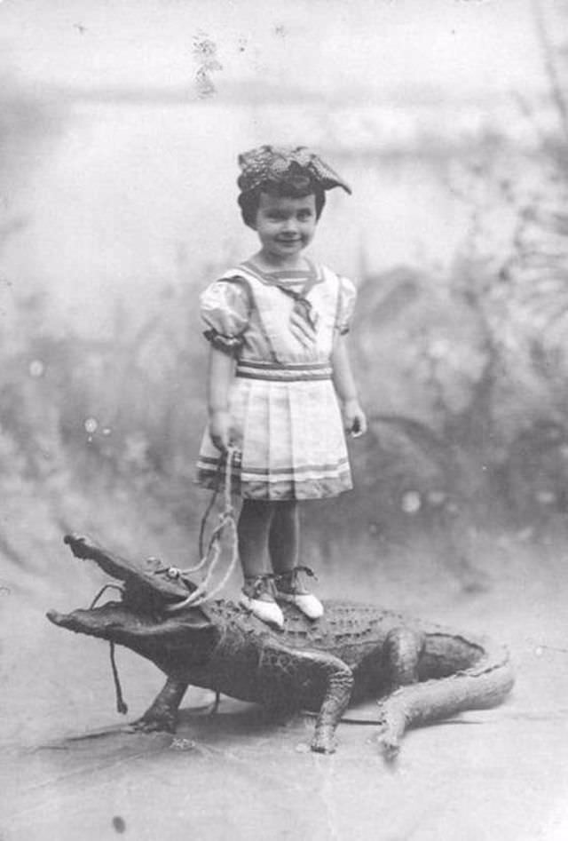 People Casually hanging Out With Alligators In The Past Weird