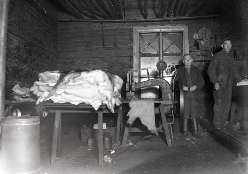 #57 Skinnberedning at Frinnaryds tannery. In this photo from Frinnaryd tannery (started 1890), here are tanners KA Lundberg (1853 – 1935) and his son Eric (b. 1886).