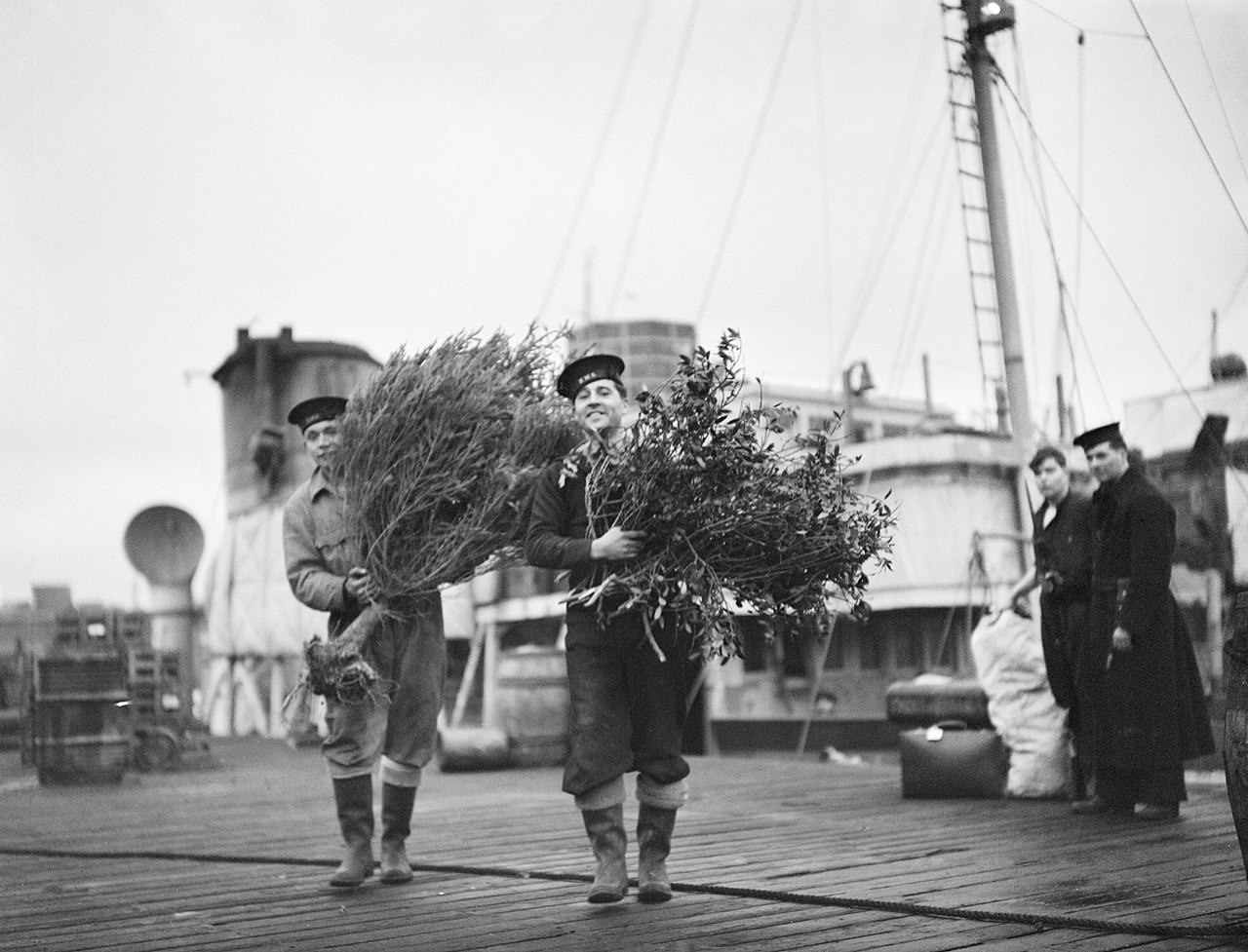 #52 Sailors carrying the Christmas tree and holly for Christmas celebrations aboard a British ship, 1941.