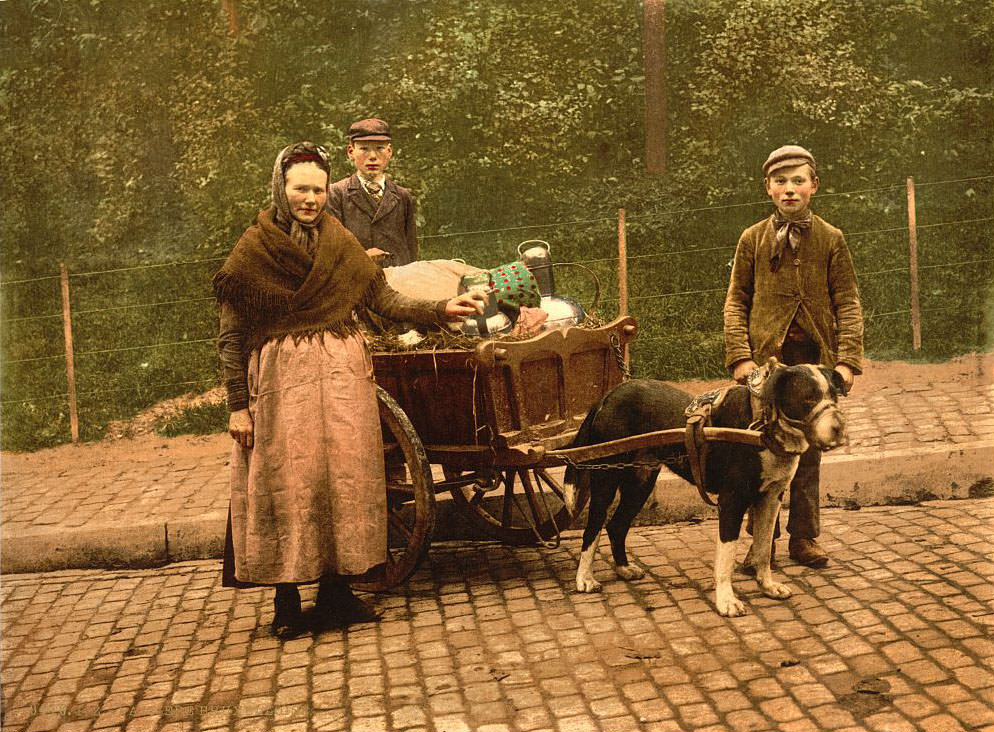 #12 Milk Sellers, Brussels, 1890s
