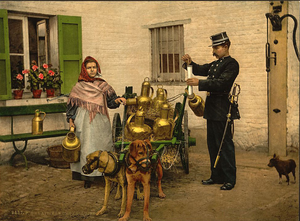 #13 Laitiere, Brussels, 1890s