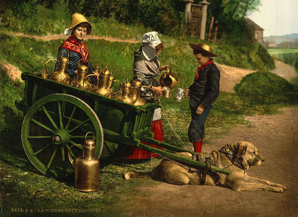 #20 Milk Sellers, Brussels, 1890s