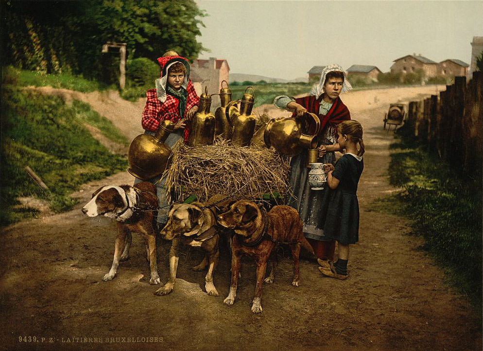 #21 Milk Sellers, Brussels, 1890s