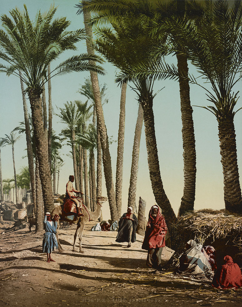 #25 Nile, Cairo, 1890s