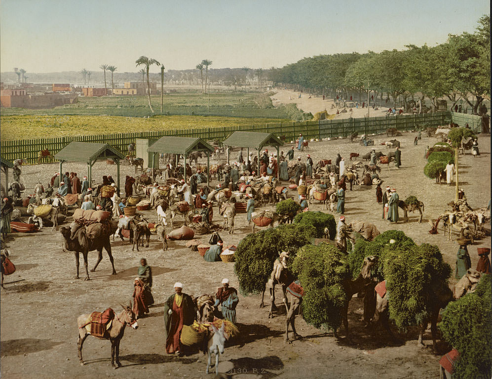 #27 Nile, Cairo, 1890s