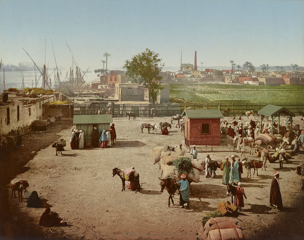 #28 Nile, Cairo, 1890s