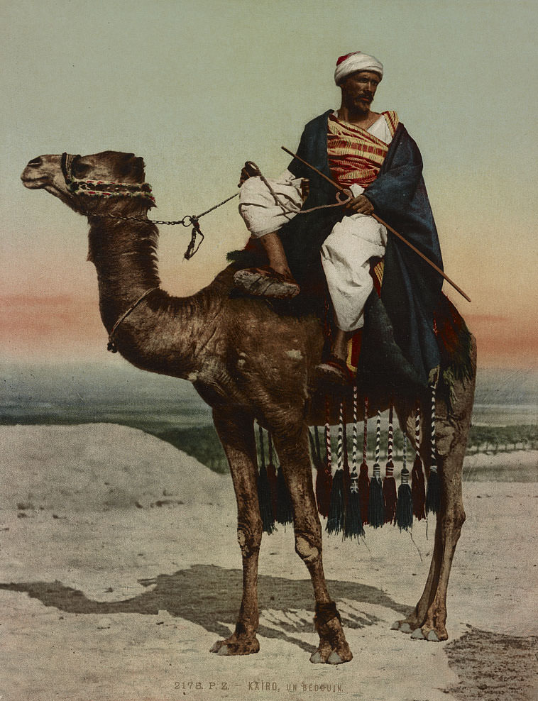 #36 A Bedouin, Cairo, 1890s