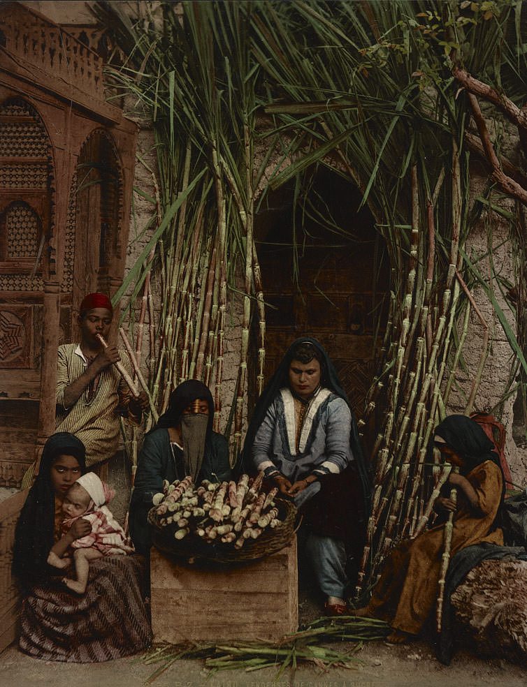 #44 Sugar cane sellers, Cairo, 1890s