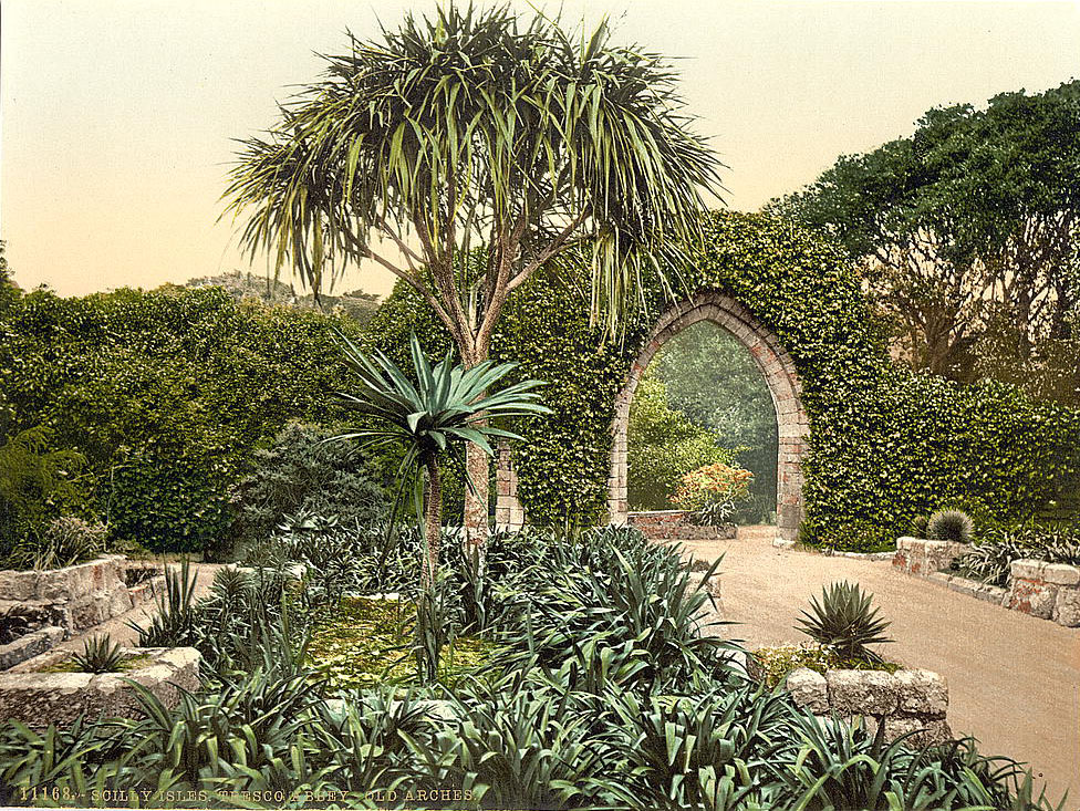 #44 Scilly Isles, Tresco Abbey