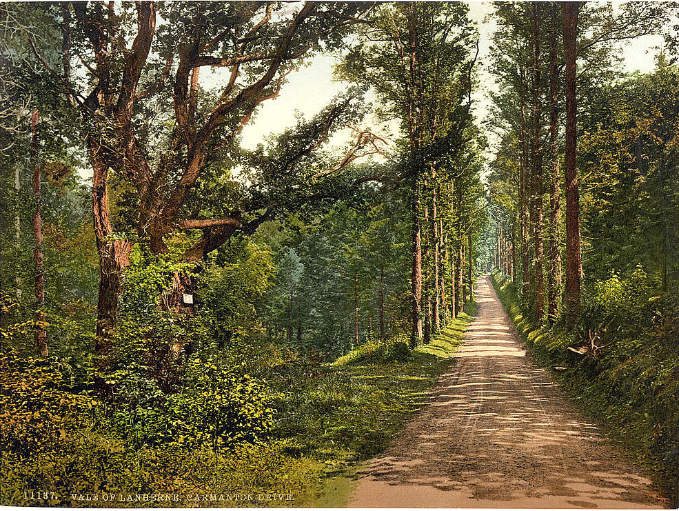 #53 Vale of Lanherne, Carmanton Drive