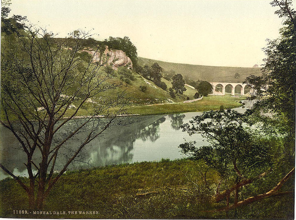 #49 Monsal Dale, the Warren