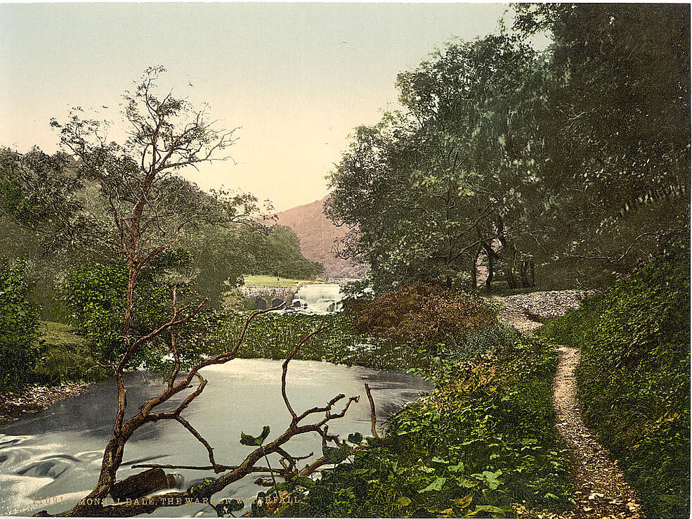 #51 The Warren Waterfall, Monsal Dale