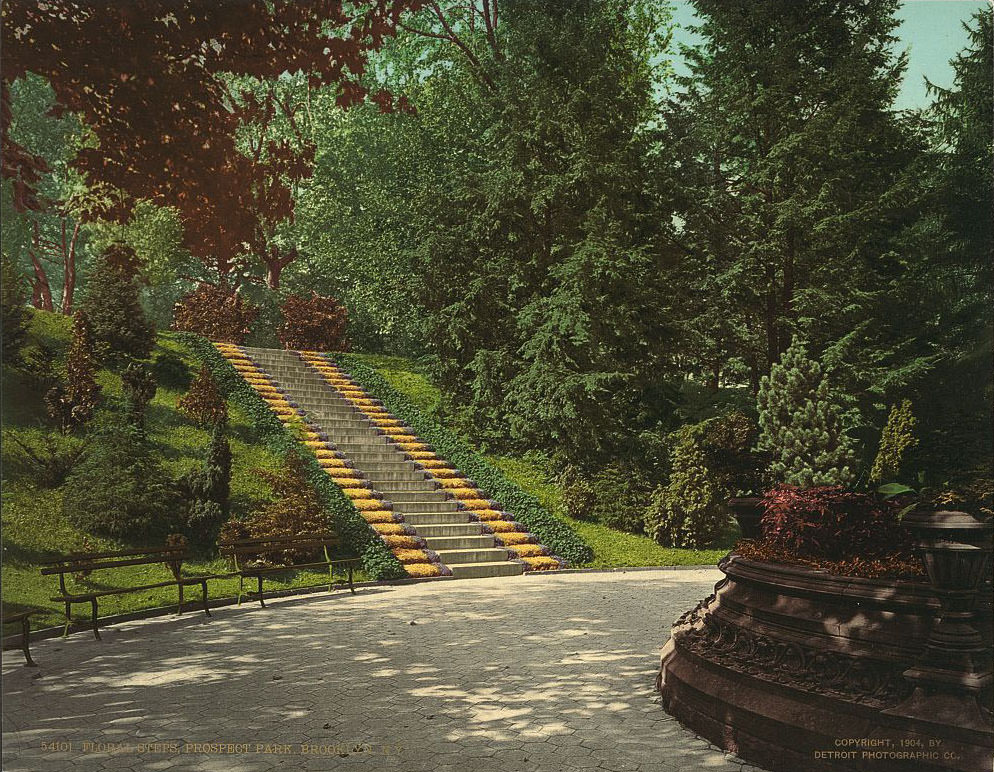 #12 Floral steps, Prospect Park, Brooklyn, 1904