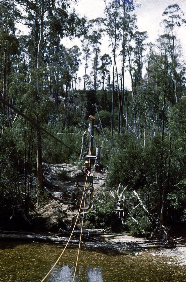 #19 Crossing the Franklin River, Tasmania, January 1953