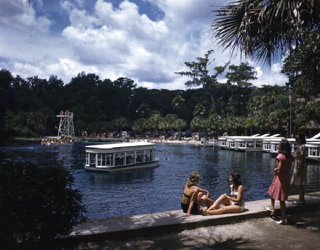 #27 Silver Springs- Ocala, Florida, June 30, 1952
