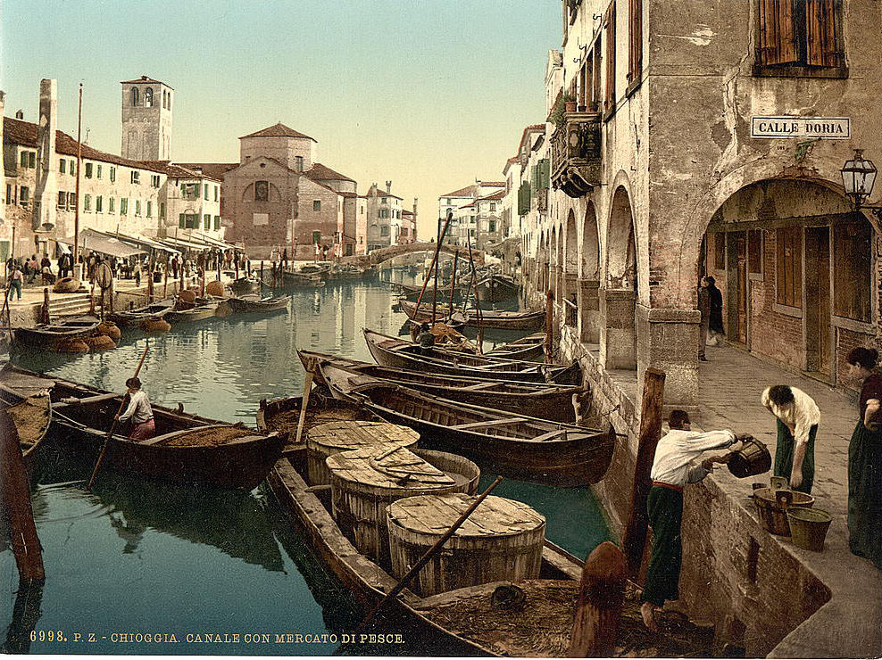#62 Fish market, Chioggia
