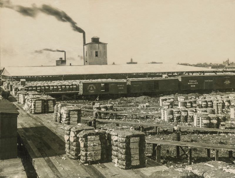 #19 Cotton mill, Greenville, Texas