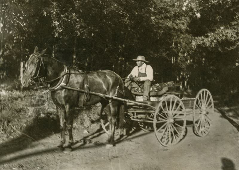 #31 Man in wagon, Greenville, Texas