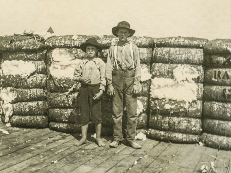 #1 Boys and their cotton, Greenville, Texas