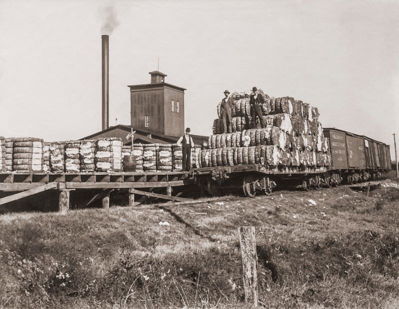 #15 Cotton bales on railroad, Greenville, Texas