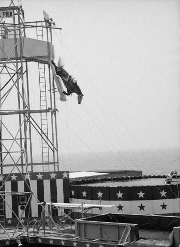 #10 Horse and rider plunge towards the pool below in Atlantic City. 1969.