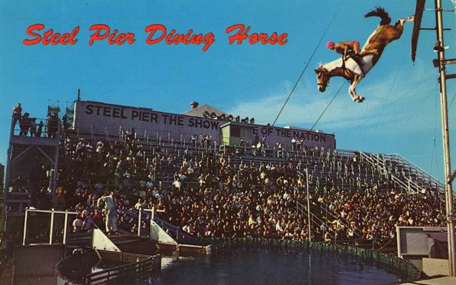 A postcard from the 1960s, showcasing the Steel Pier’s popular diving horse’s attraction.