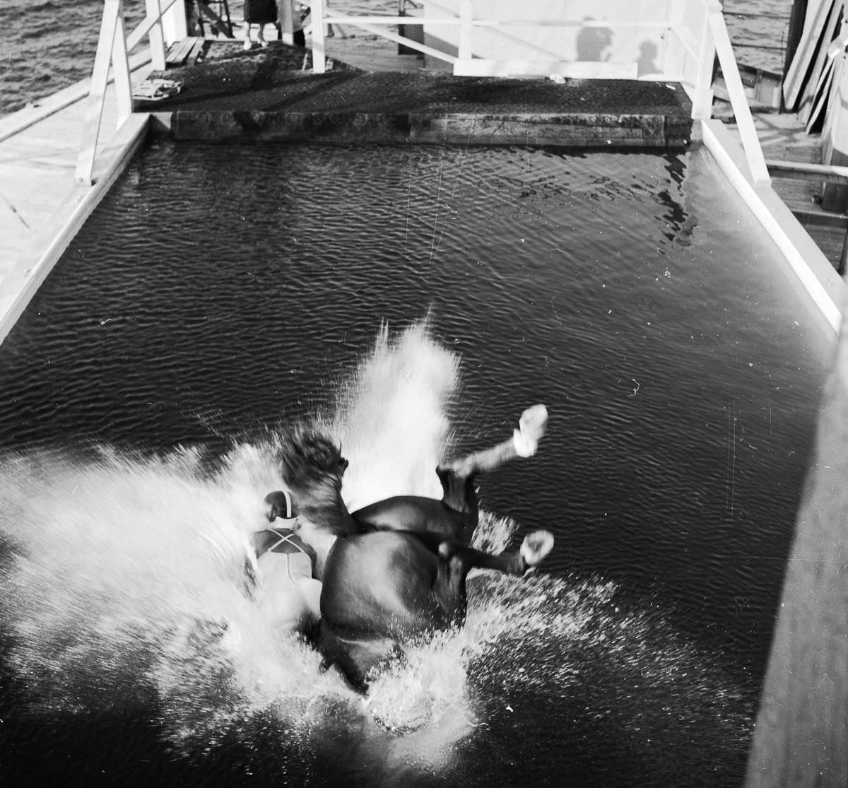 #24 A horse with rider fallen into the water.
