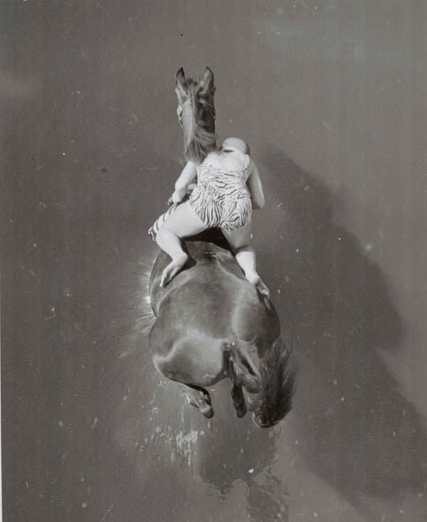 #7 Dimah and her rider, Ann Eastham, plunge into the pool after jumping off a diving platform 75-feet-tall. 1960.