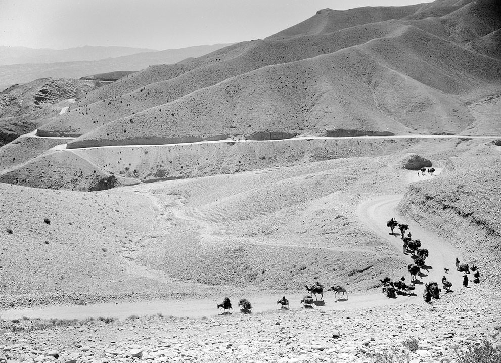 #15 A caravan of mules and camels cross the high, winding trails of the Lataband Pass in Afghanistan on the way to Kabul, on October 8, 1949.