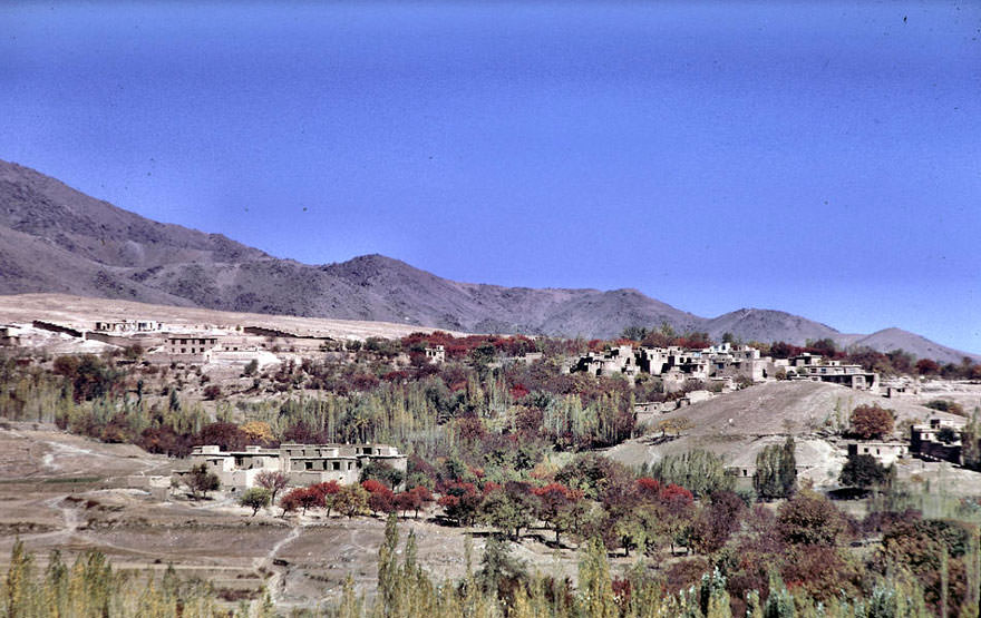 #50 Kabul