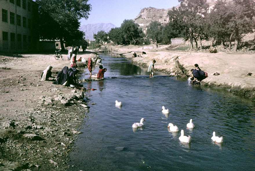 #69 People & Ducks