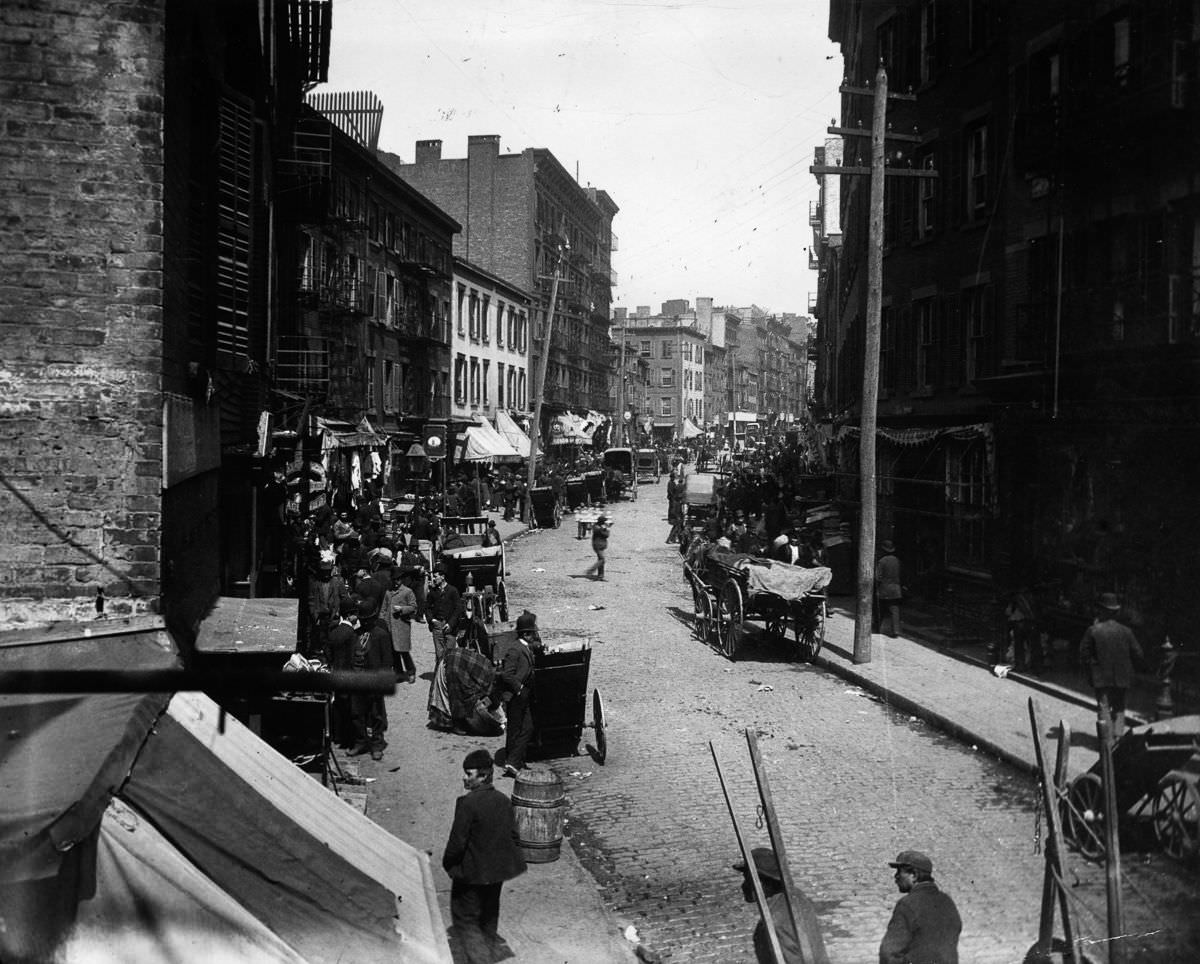 #19 The Mulberry Bend area in Little Italy, 1890