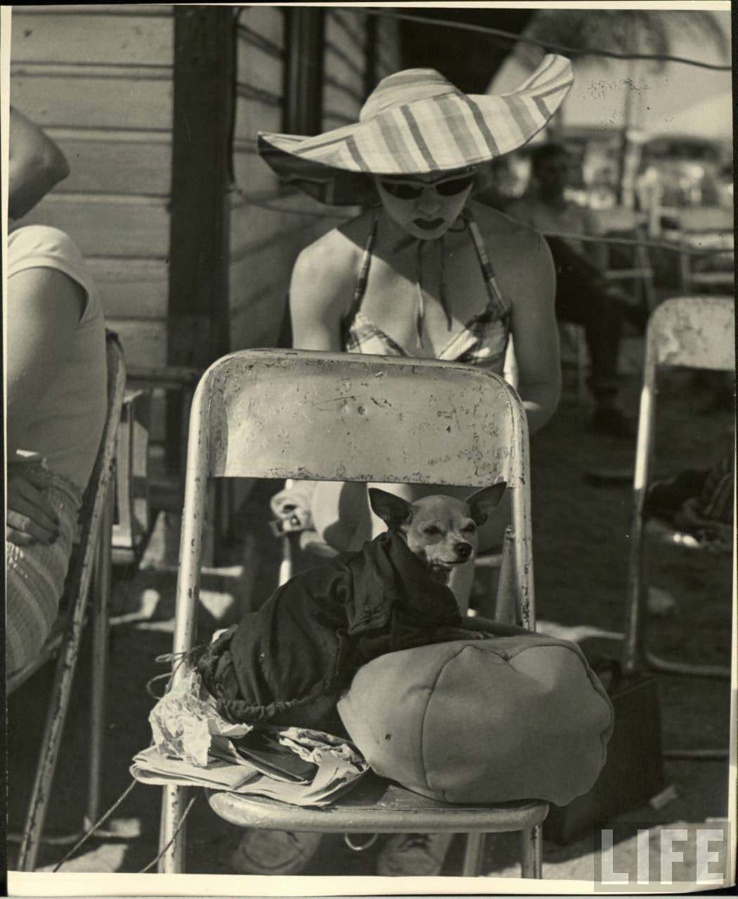 Circus Girls Of Sarasota: Vintage Photos Documenting Daily Life of Sassy Acrobat Performers, 1949 S