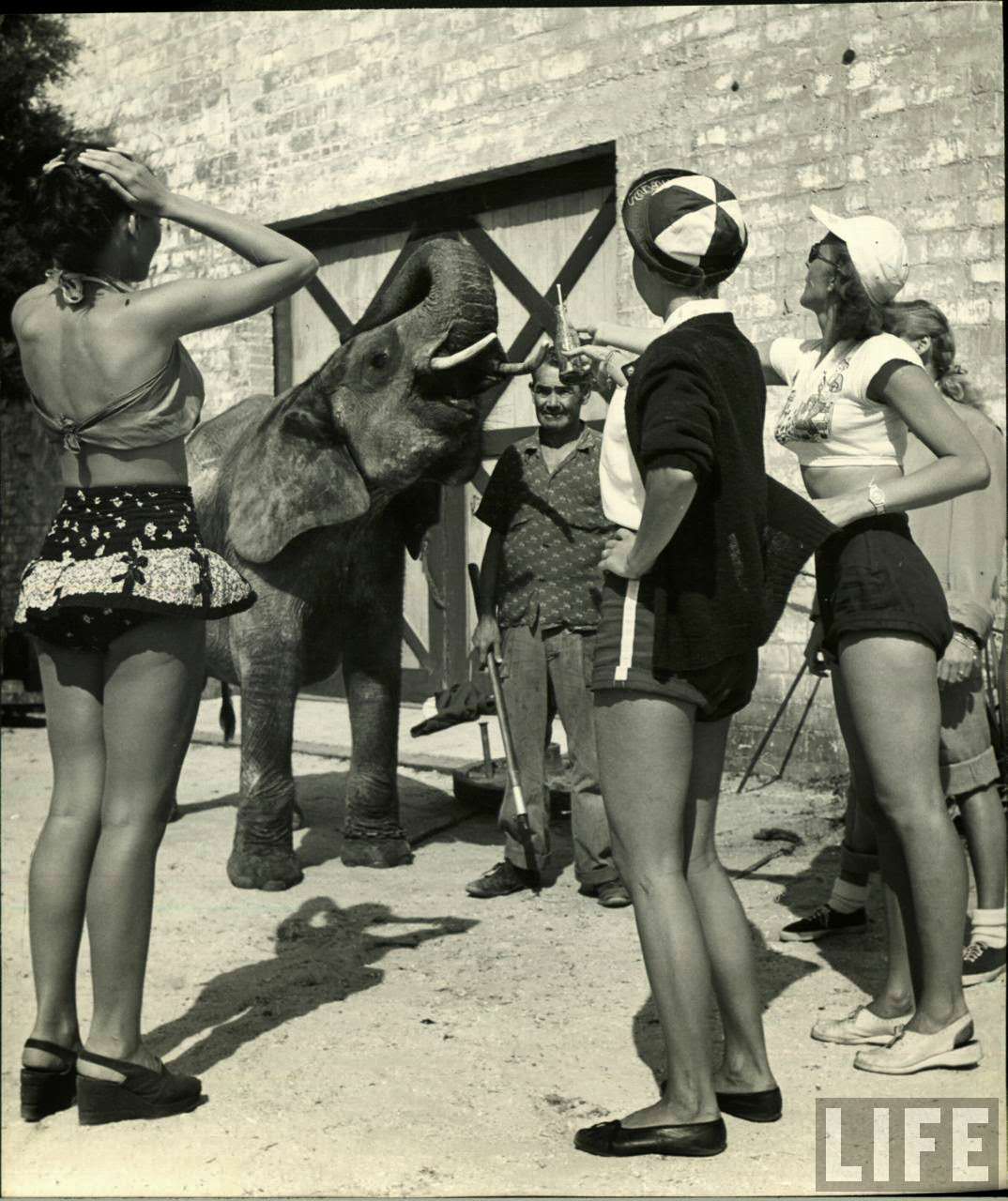 Circus Girls Of Sarasota: Vintage Photos Documenting Daily Life of Sassy Acrobat Performers, 1949 S