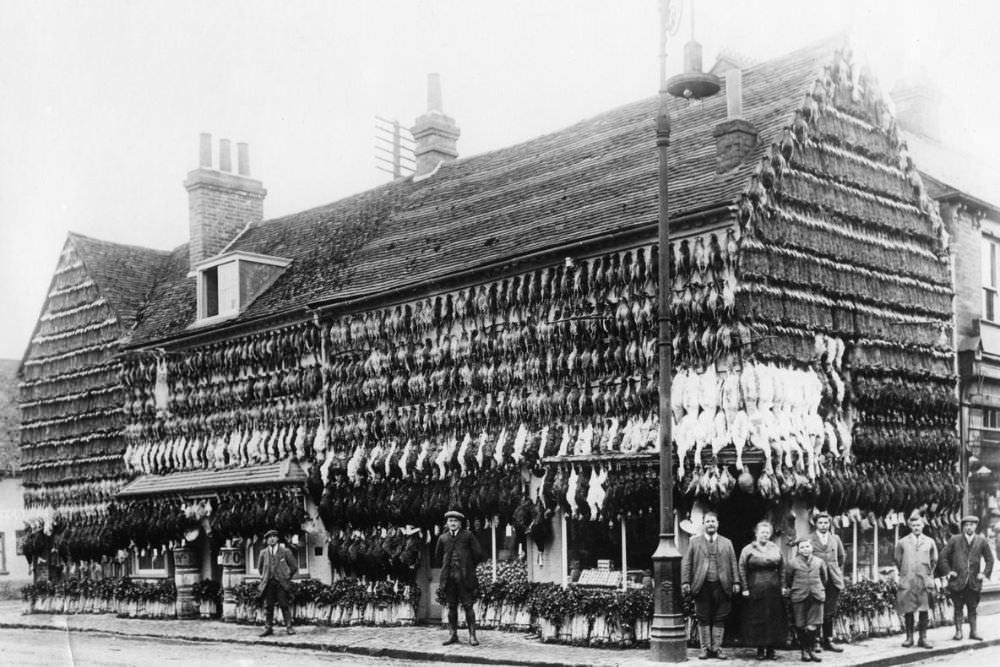 Butchers Shops Of Victorian Era: Photos Show Slaughtered Animals Hung Outside The Shops Weird