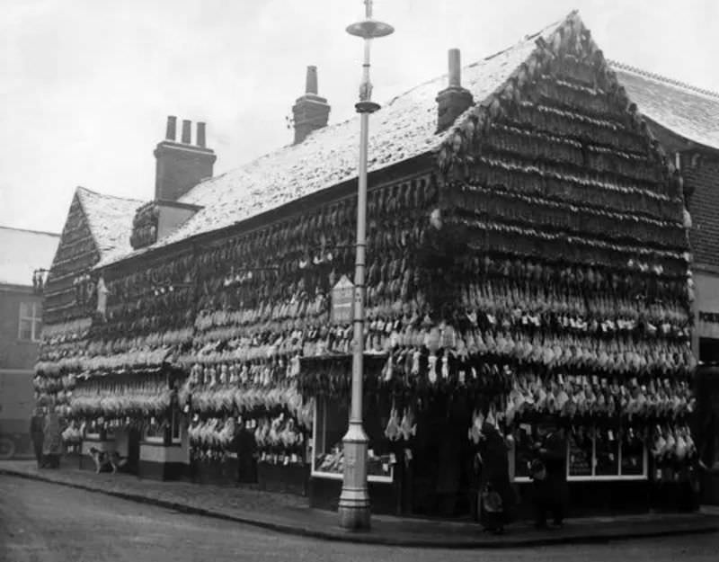 Butchers Shops Of Victorian Era: Photos Show Slaughtered Animals Hung Outside The Shops Weird