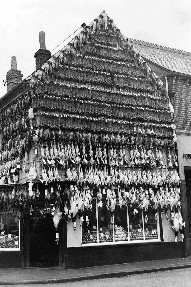 Butchers Shops Of Victorian Era: Photos Show Slaughtered Animals Hung Outside The Shops Weird