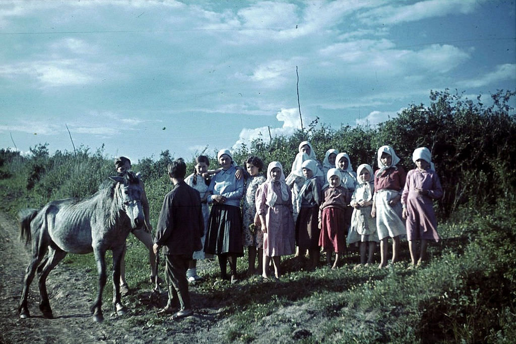 #134 Children in the occupied village of Belgorod region and German soldiers next to the horse